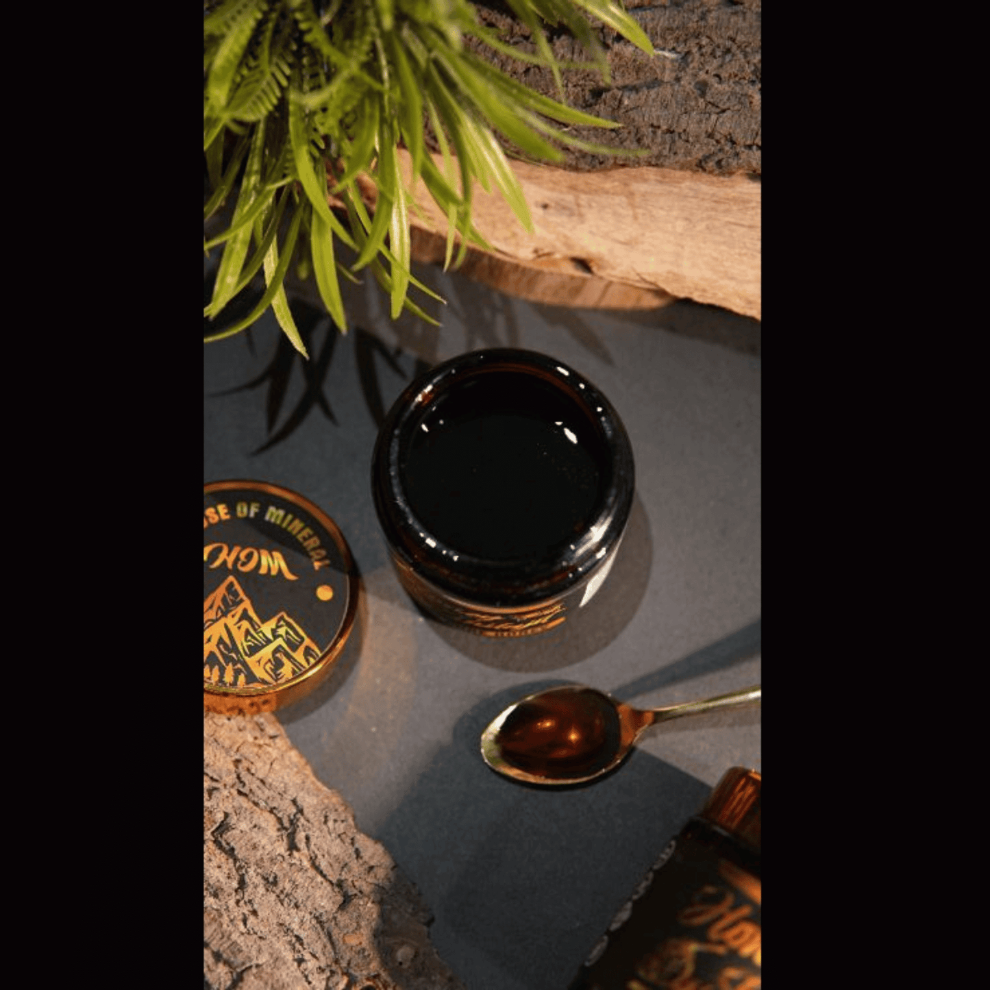 Pure Honey Shilajit (Salajeet) - 100% Original - House Of Mineral