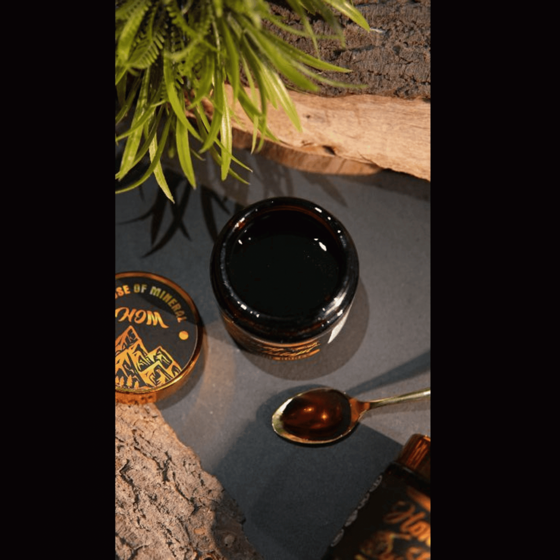 Pure Honey Shilajit (Salajeet) - 100% Original - House Of Mineral