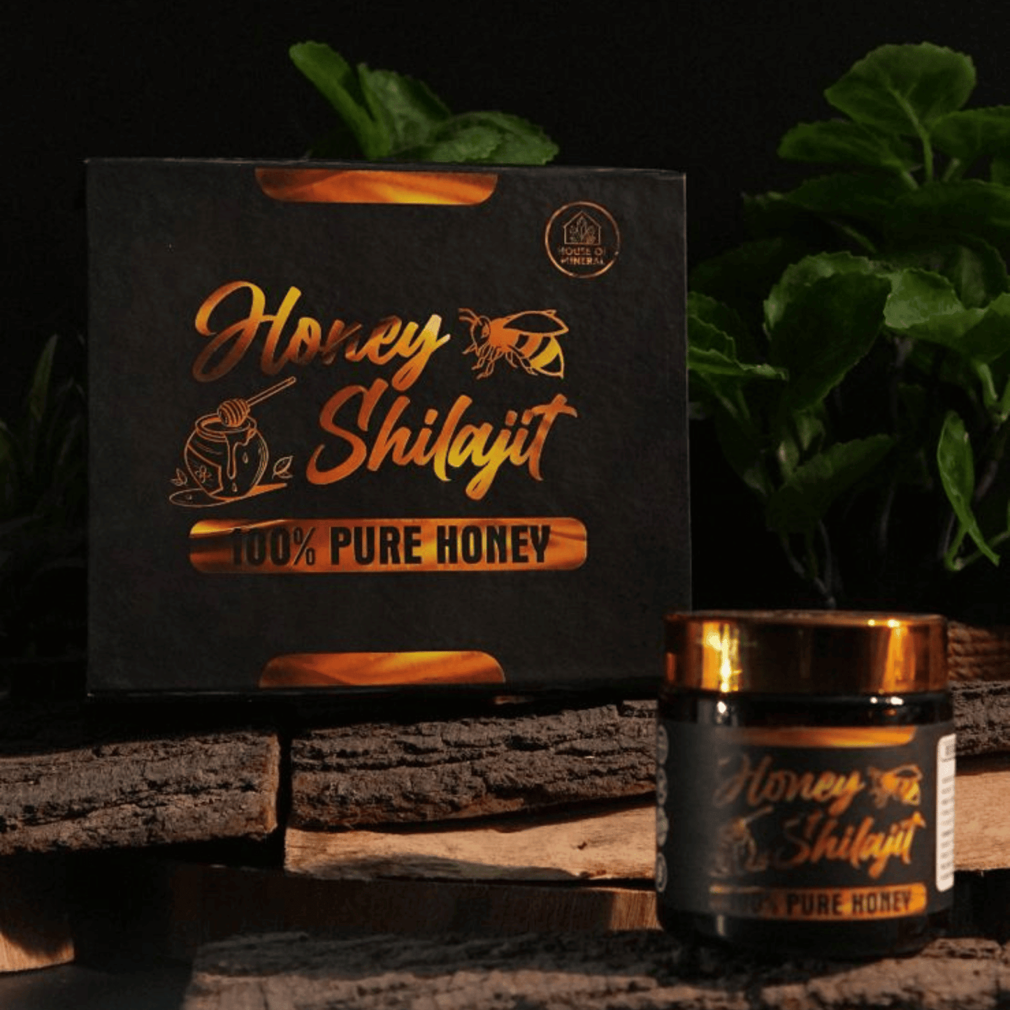 Pure Honey Shilajit (Salajeet) - 100% Original - House Of Mineral